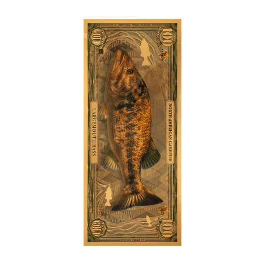 Largemouth Bass Aurum