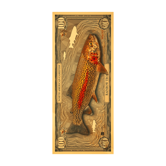 Rainbow Trout Aurum