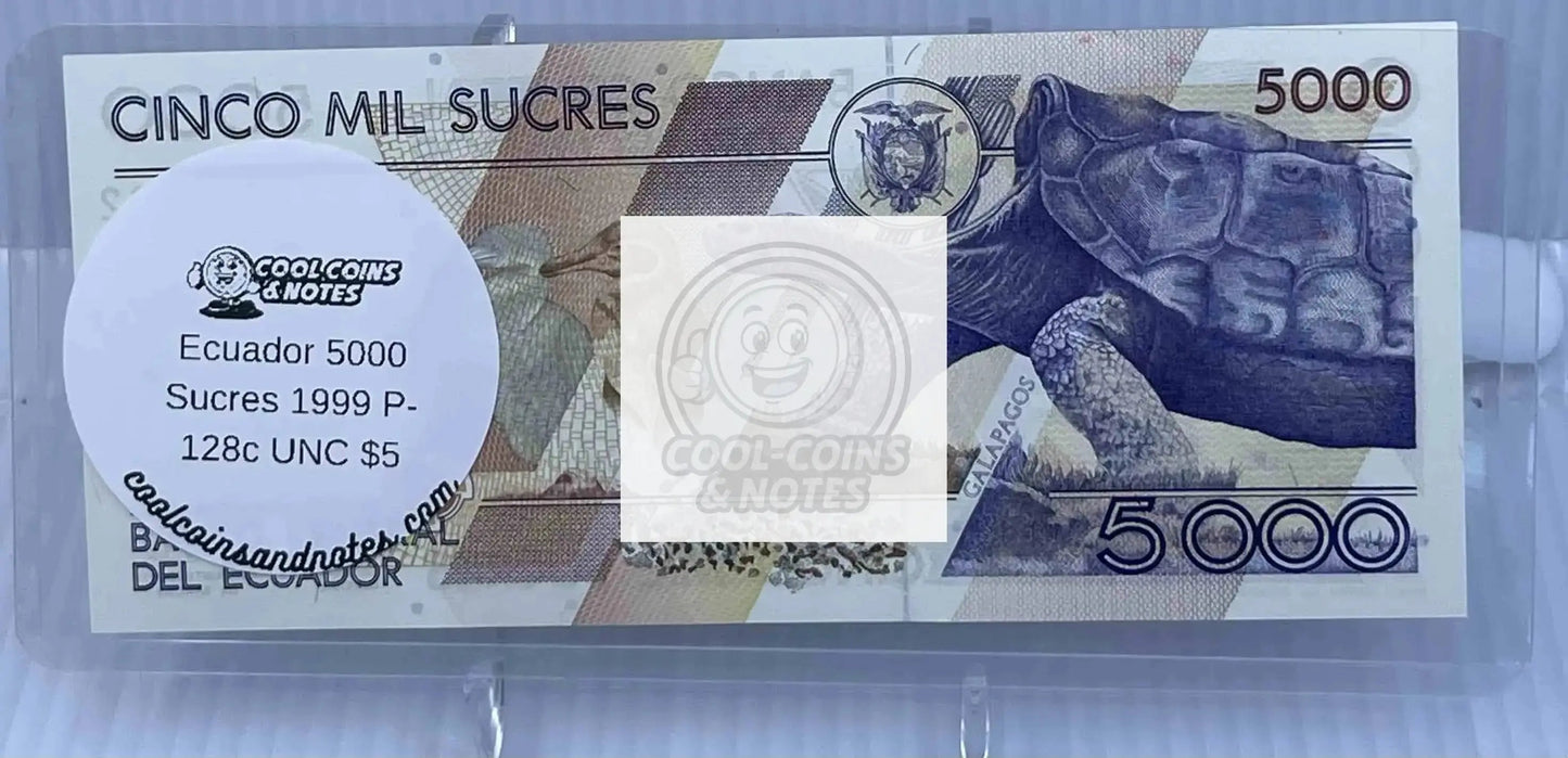 10 Banknote Currency Sleeves Rigid US Dollar Modern Size US Topload Holders Note Cool Coins & Notes Cool Coins & Notes