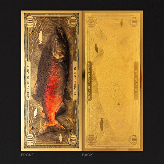 Chinook Salmon Aurum