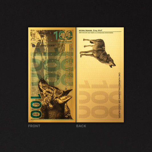 Grey Wolf Aurum