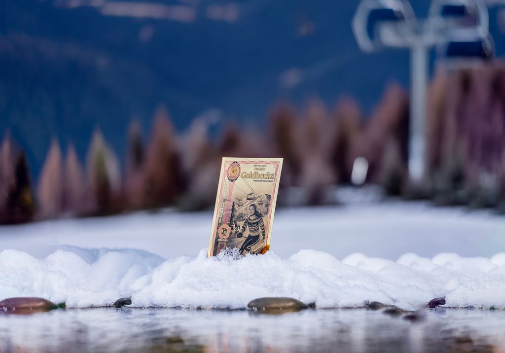 Idaho, 2026, 3 GB – Limited Early Release