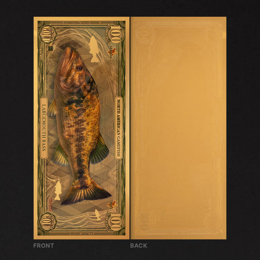 Largemouth Bass Aurum