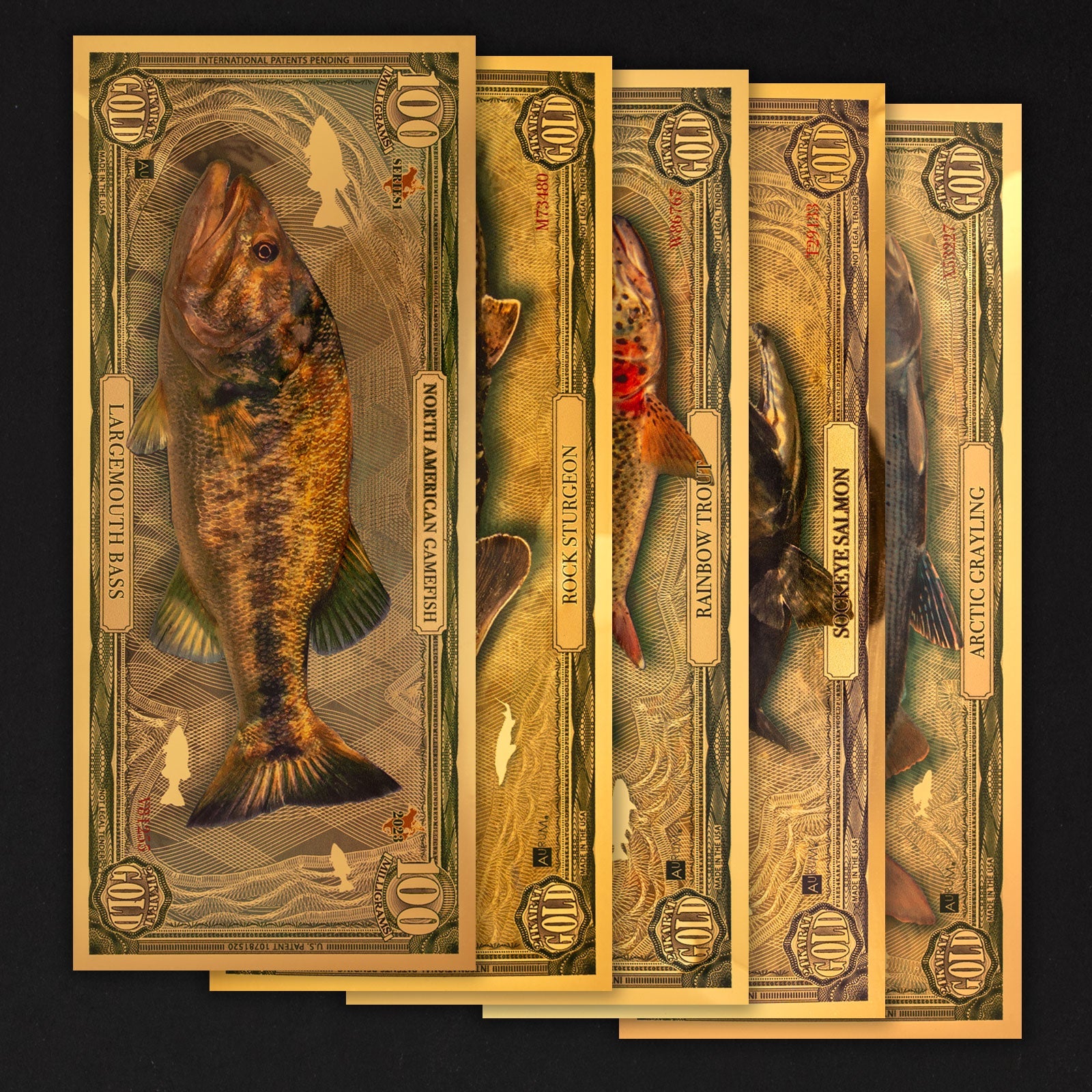 North American Gamefish: 2023 Complete Series – K2BX