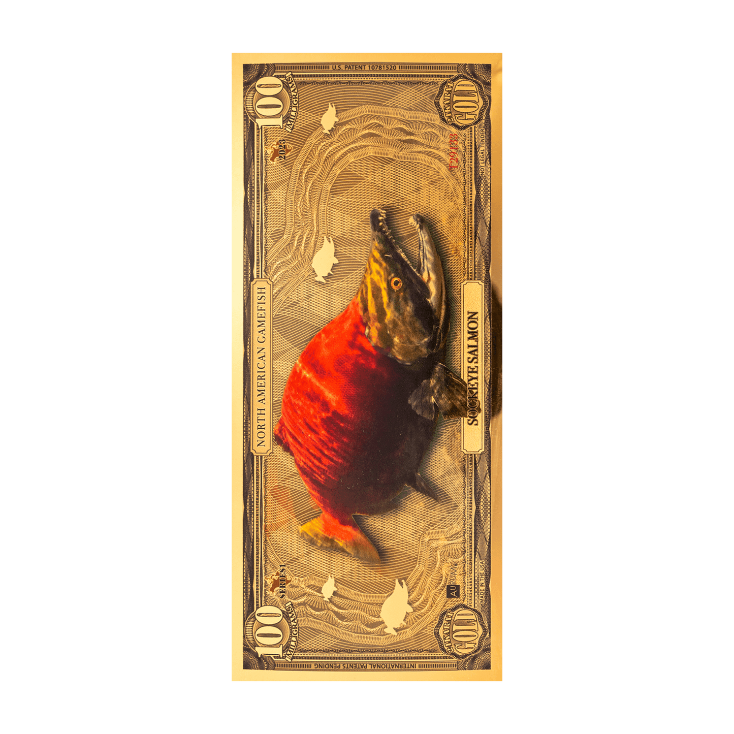 Sockeye Salmon Aurum